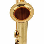 Selmer Paris Series III goudlak baritonsaxofoon 