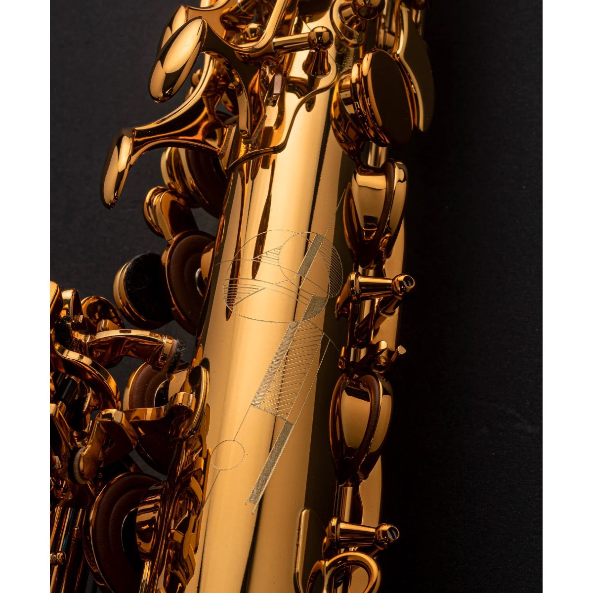 Selmer Paris Signature goud gelakte altsaxofoon