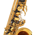 Selmer Paris Signature zwarte altsaxofoon