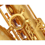 Selmer Paris Signature brushed altsaxofoon
