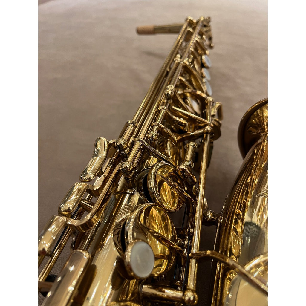 Selmer Paris Mark VII altsaxofoon 307602