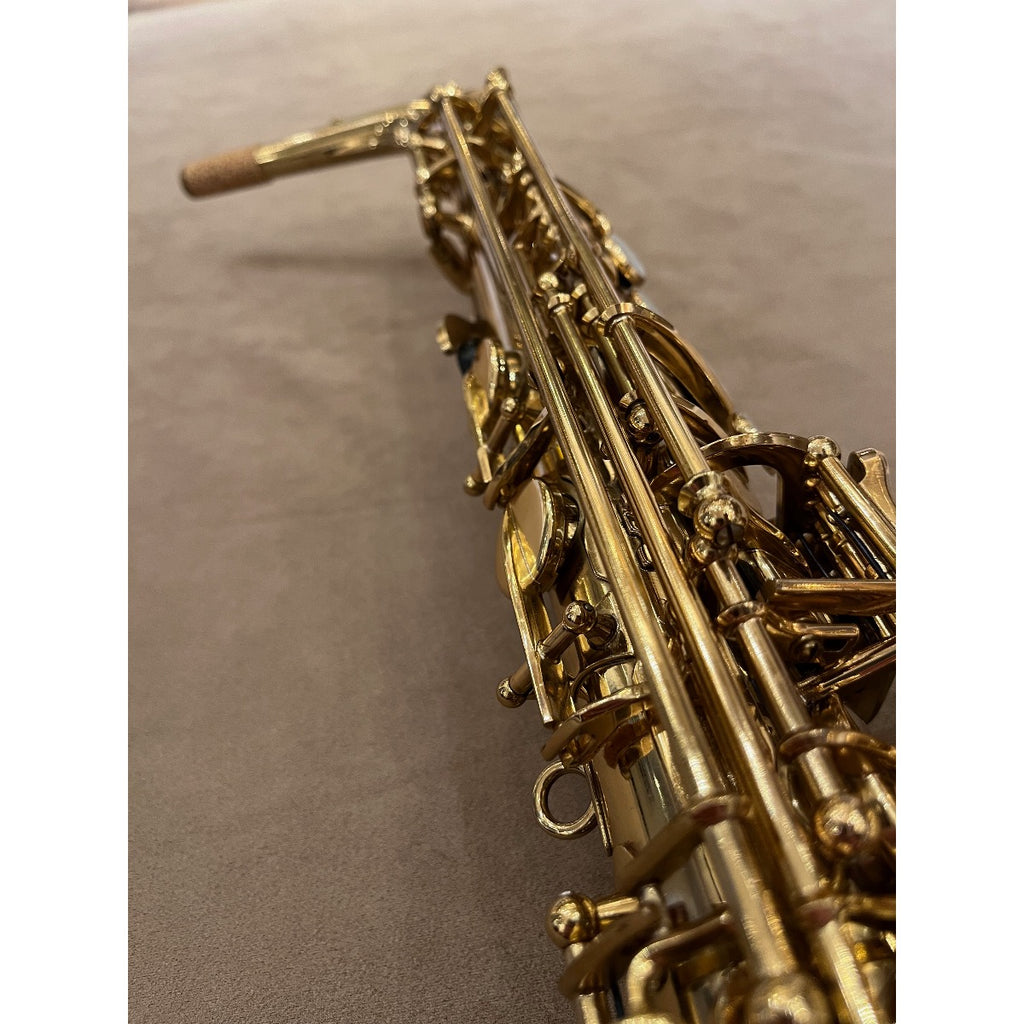 Selmer Paris Mark VII altsaxofoon 307602