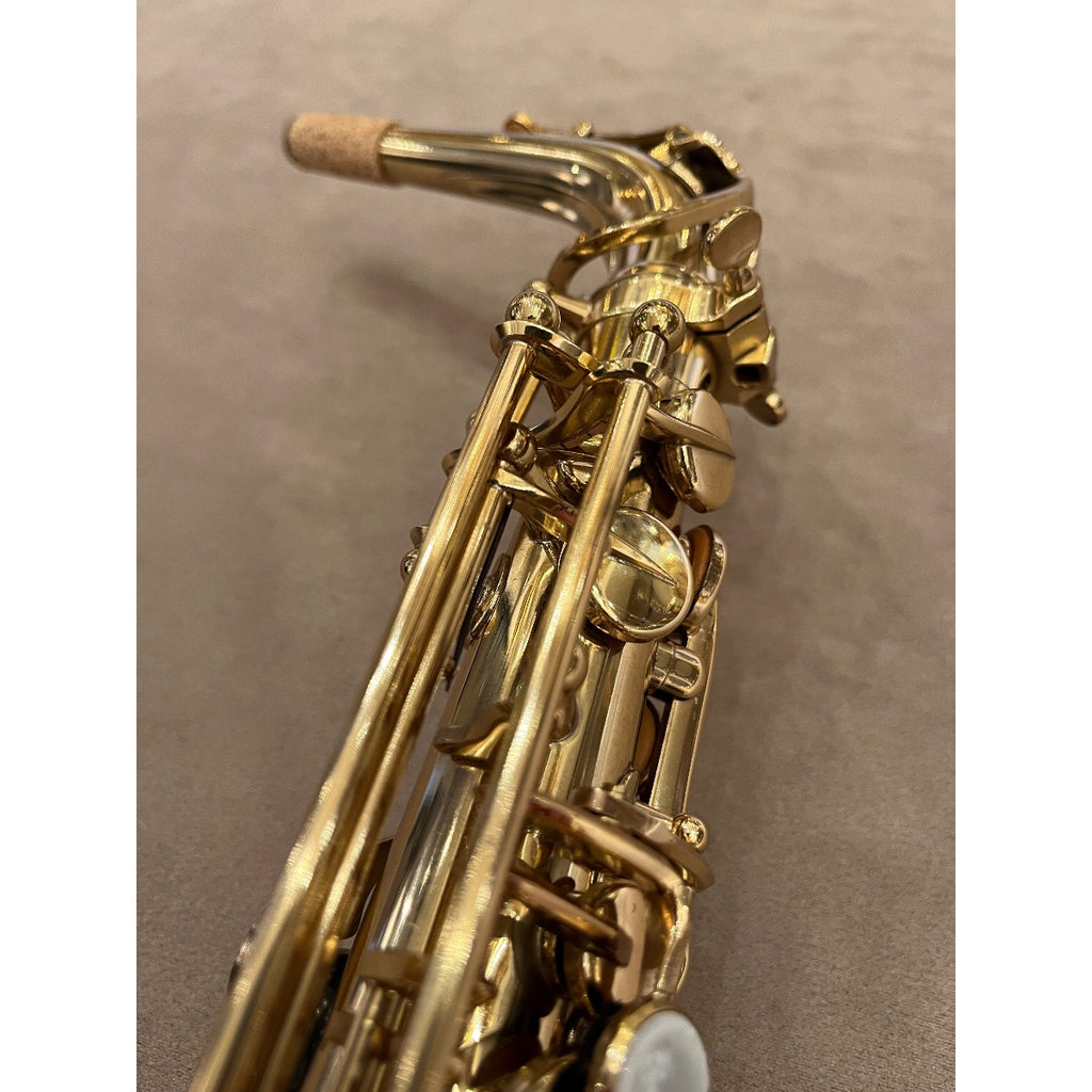 Selmer Paris Mark VII altsaxofoon 307602