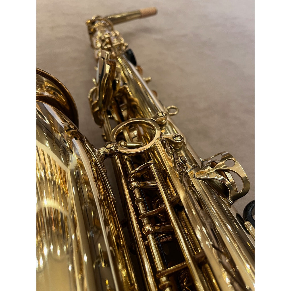 Selmer Paris Mark VII altsaxofoon 307602
