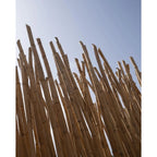 Selmer Paris Premium Bb klarinet riet per 10 stuks