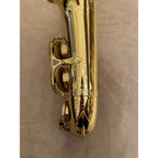 Selmer Paris Super Action 80 Series II altsaxofoon 527023