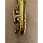 Selmer Paris Super Action 80 Series II altsaxofoon 711858