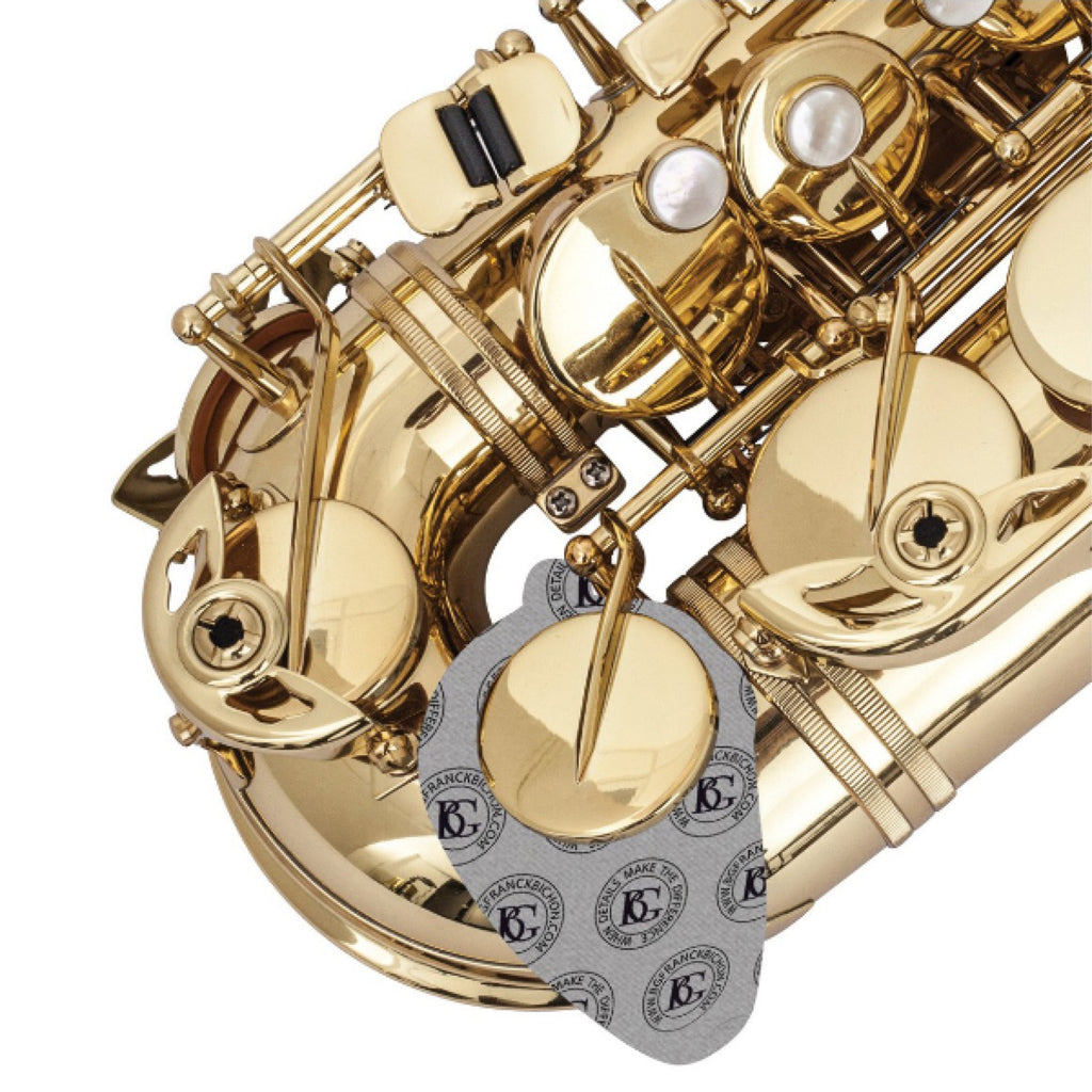 BG A65S polsterdroger saxofoon