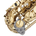 BG A65SB polsterdroger saxofoon 20 stuks