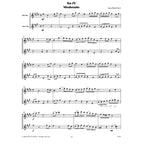 Mainburger Duette alt- & tenorsax