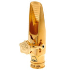 Theo Wanne Gaia IV altsax mondstuk