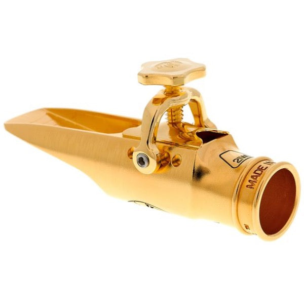 Theo Wanne Gaia IV altsax mondstuk