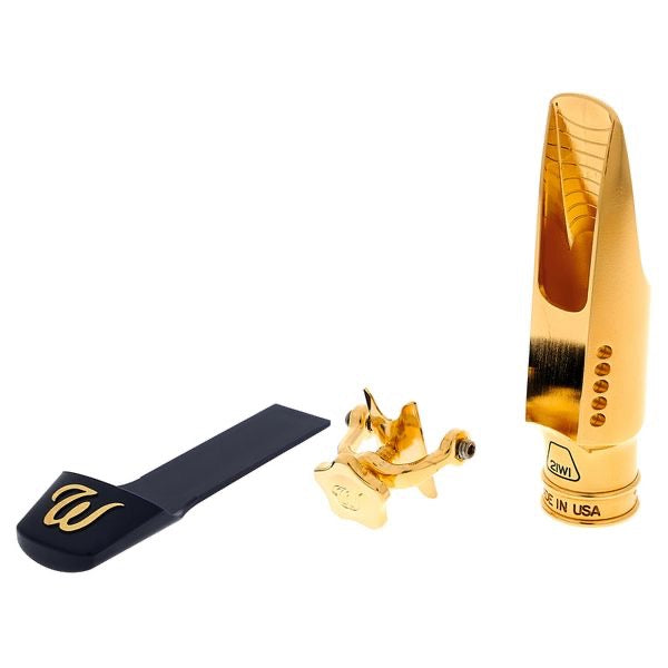 Theo Wanne Gaia IV altsax mondstuk