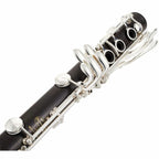 Buffet Crampon Divine Bb klarinet