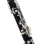 Buffet Crampon E11 Bb klarinet | €100 HUUR + €220 BORG