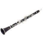Buffet Crampon RC Bb klarinet