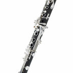 Buffet Crampon Tradition Bb klarinet