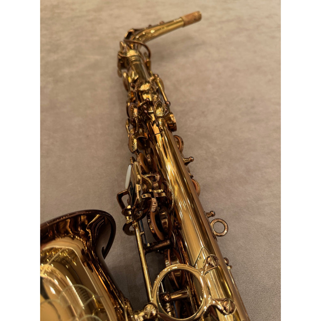 Chateau CAS-50C altsaxofoon D12404063