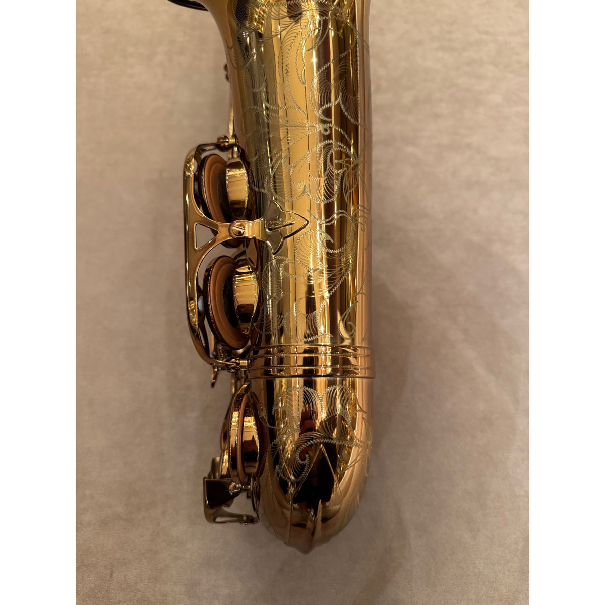 Chateau CAS-50C altsaxofoon D12404063