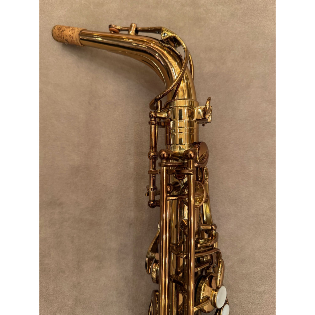 Chateau CAS-50C altsaxofoon D12404063