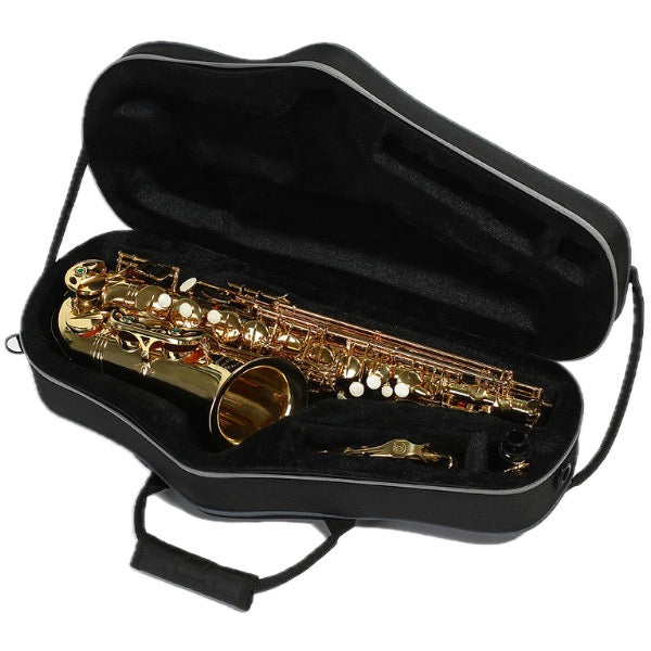 BROPRO F700CT altsax koffer