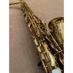 Selmer Paris SA80II altsaxofoon 495381