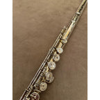 Altus A907 dwarsfluit 056732