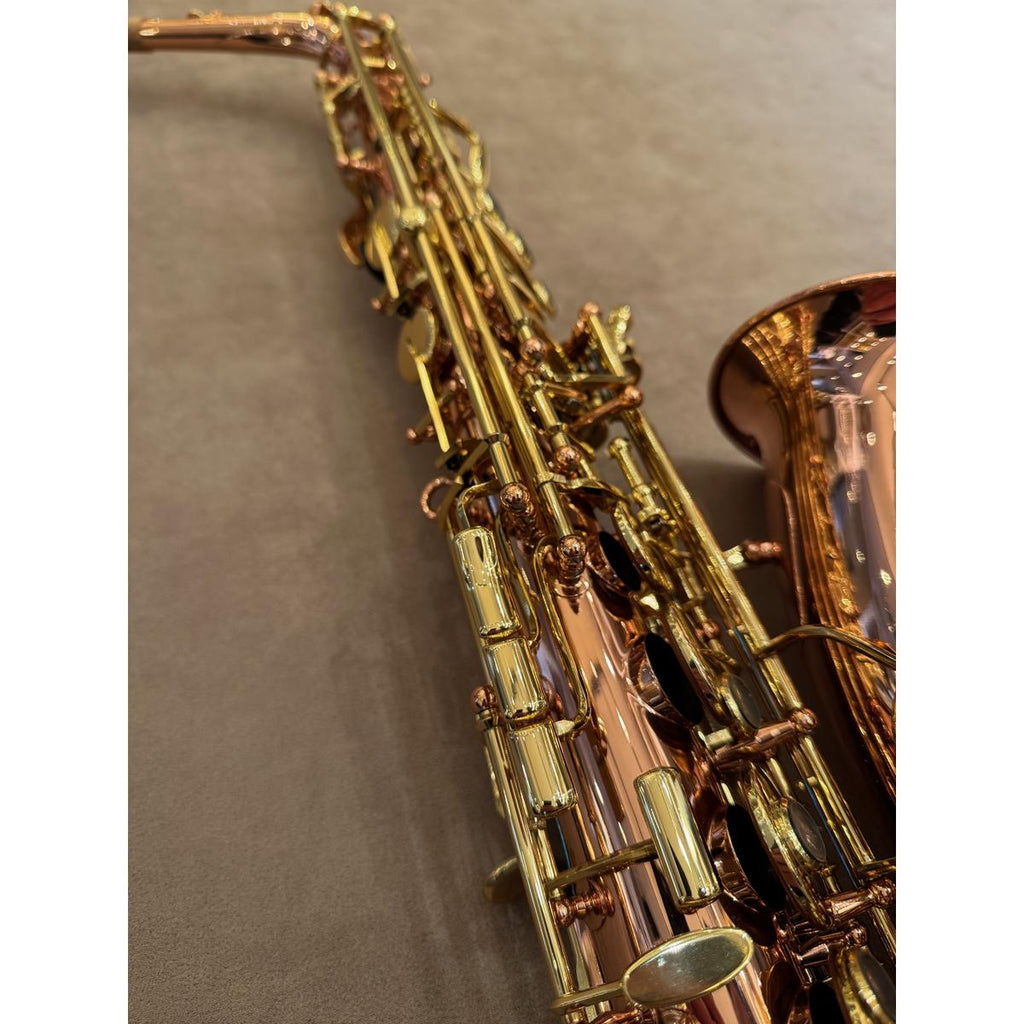 Buffet Crampon Senzo altsaxofoon 41969