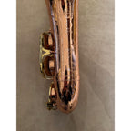 Buffet Crampon Senzo altsaxofoon 41969