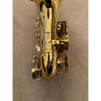 Trevor James The Horn Revolution II sopraansaxofoon 3334147