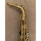 Selmer Paris Mark VII altsaxofoon 273790