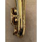 Selmer Paris Mark VII altsaxofoon 273790