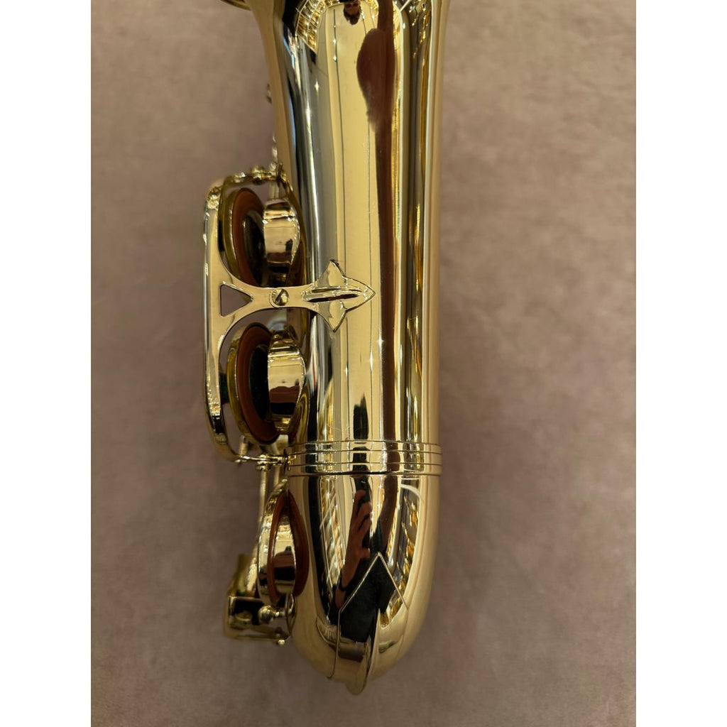 Selmer Paris SA80II altsaxofoon 574263