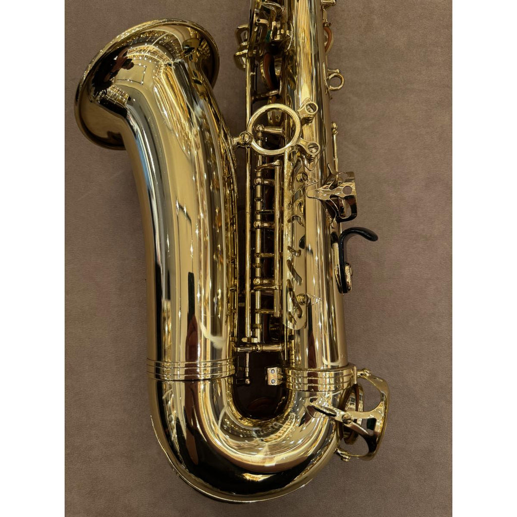 Selmer Paris SA80II altsaxofoon 574263