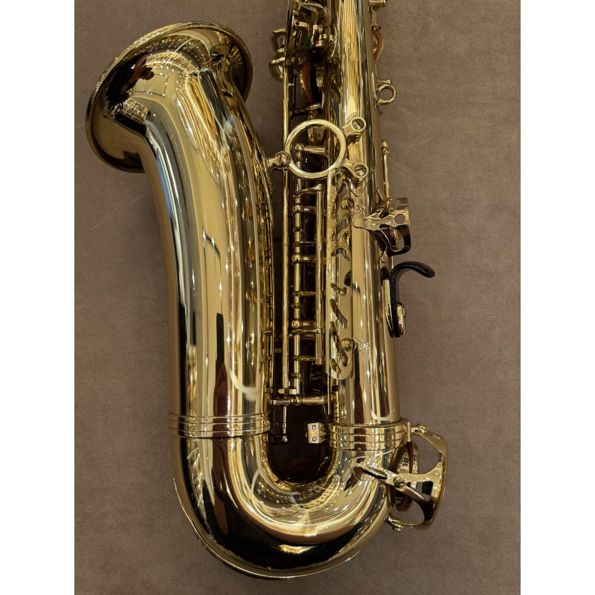 Selmer Paris SA80II altsaxofoon 574263