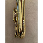 Selmer Paris SA80II tenorsaxofoon 483645