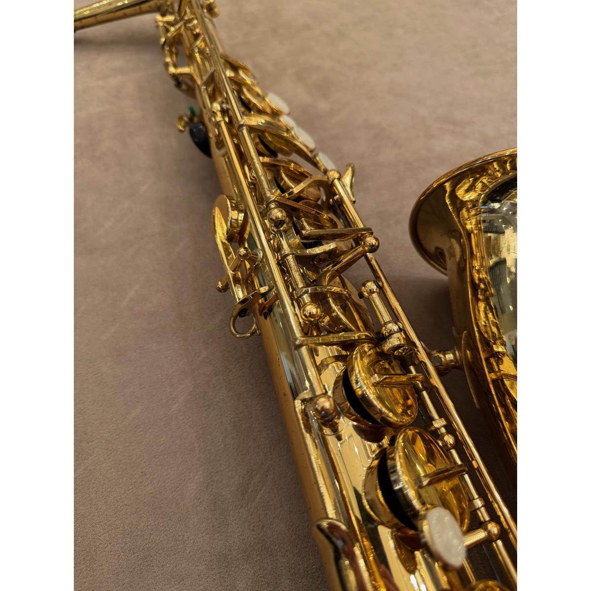Trevor James Alpha altsaxofoon T4198