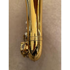 Trevor James Alpha altsaxofoon T4198