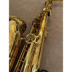 Trevor James Alpha altsaxofoon T4198