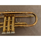 Yamaha YTR-4335GII trompet 349985