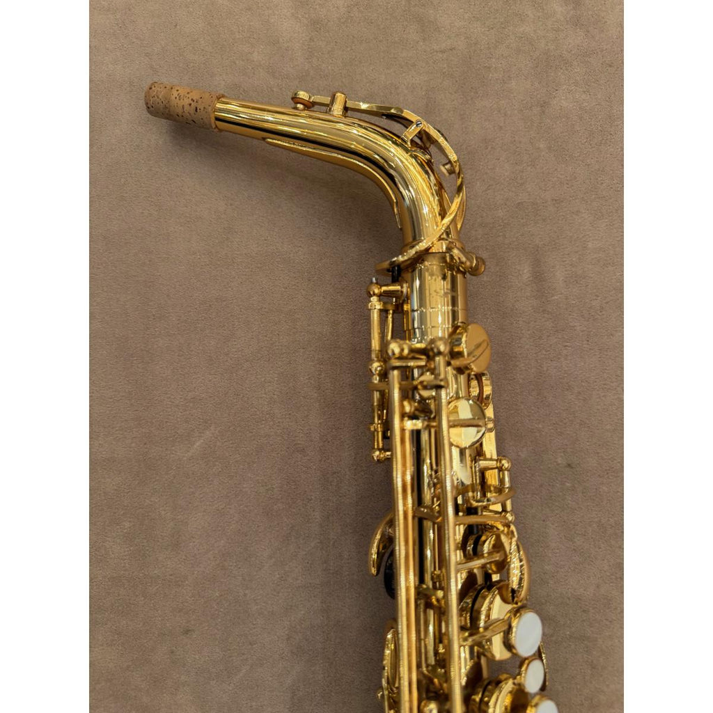 Trevor James Classic II altsaxofoon 19416