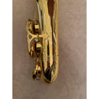 Trevor James Classic II altsaxofoon 19416