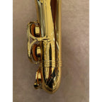 Jupiter JAS700 altsaxofoon FF54538