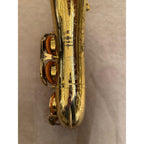 Buffet Crampon Expression (ST90) altsaxofoon 95323