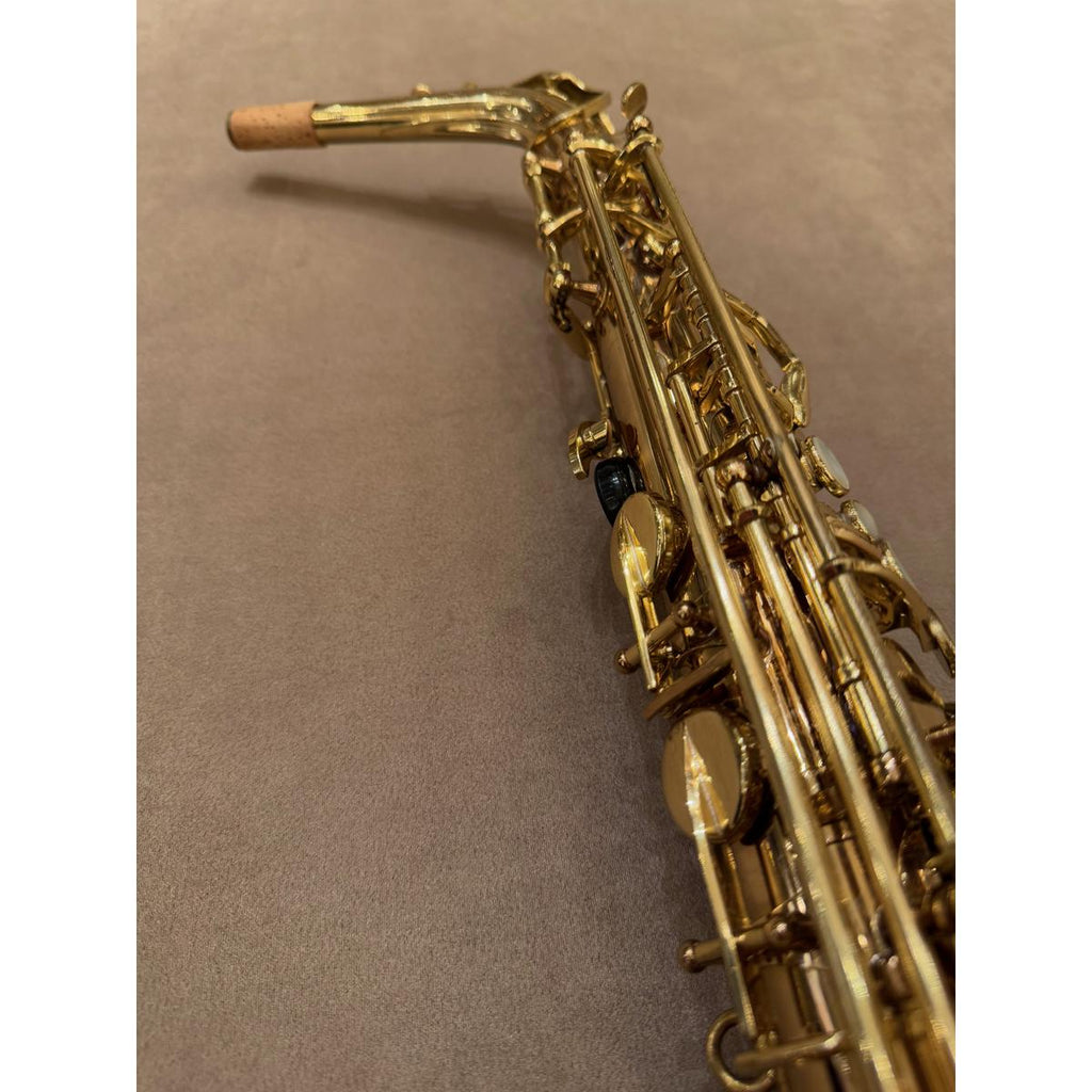 Selmer Paris SA80II altsaxofoon 470101