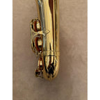 Chateau altsaxofoon 1330106 onderbocht