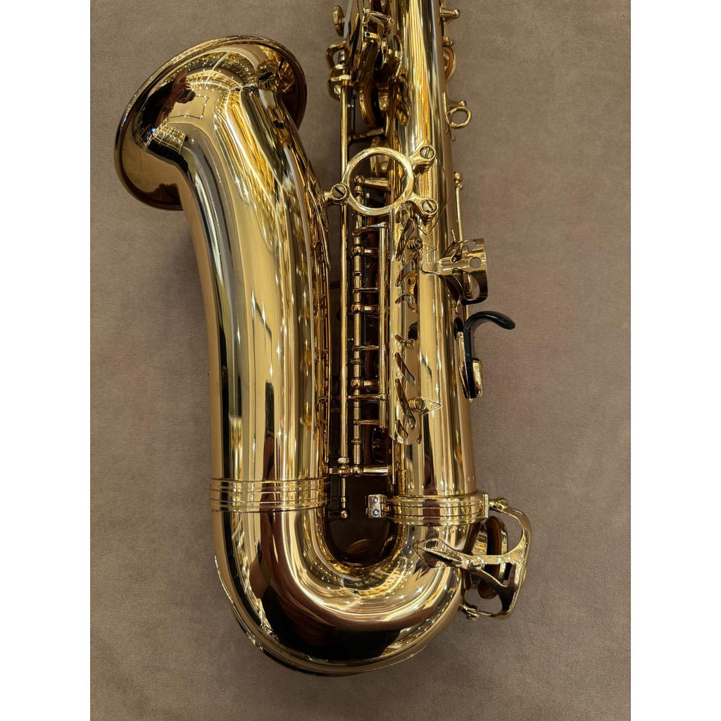 Selmer Paris SA80II altsaxofoon 469362, achterzijde beker