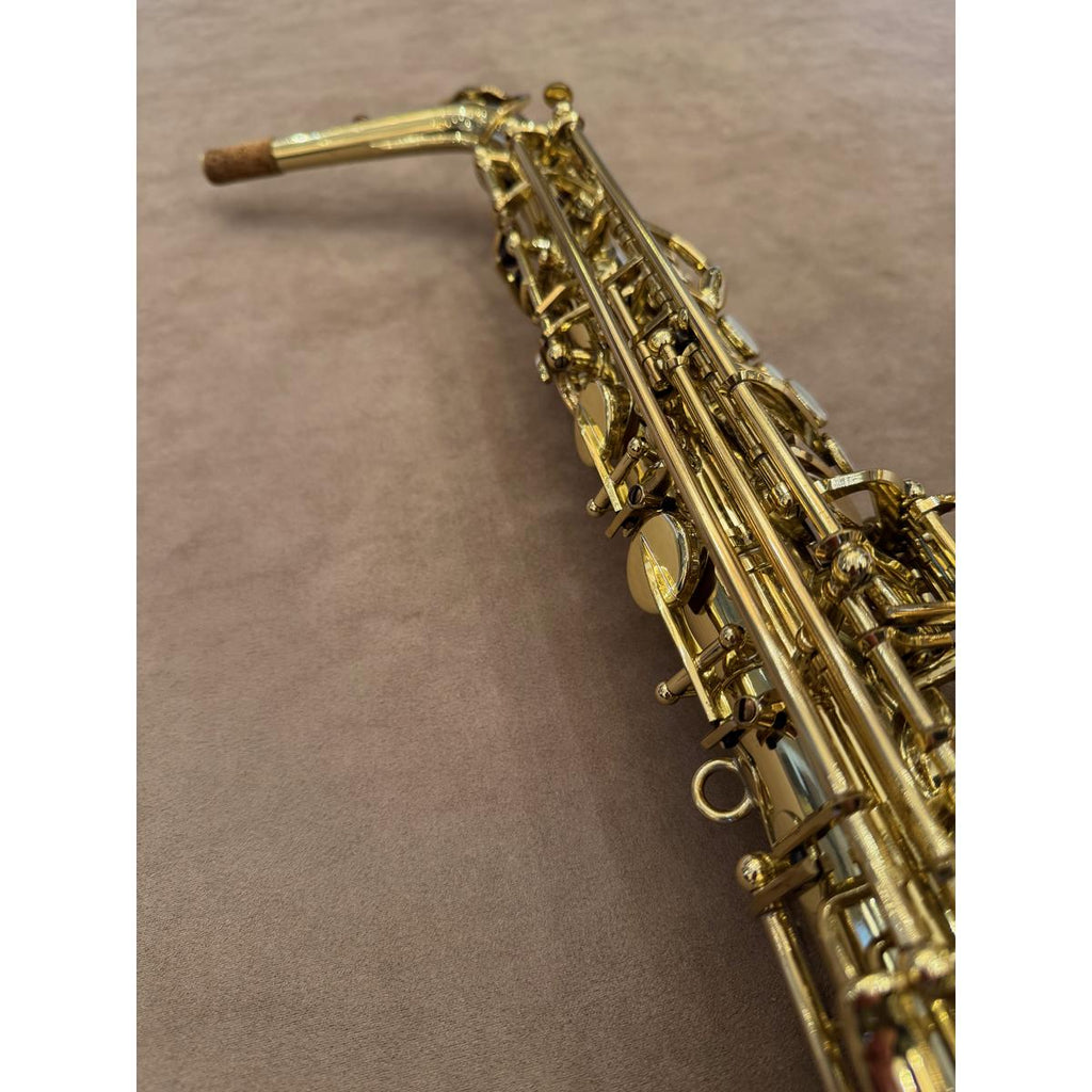 Selmer Paris Series III altsaxofoon 639208