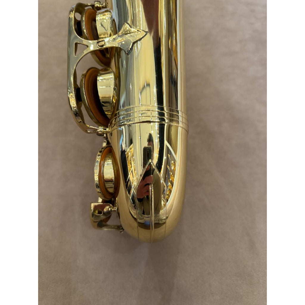 Selmer Paris Series III altsaxofoon 639208