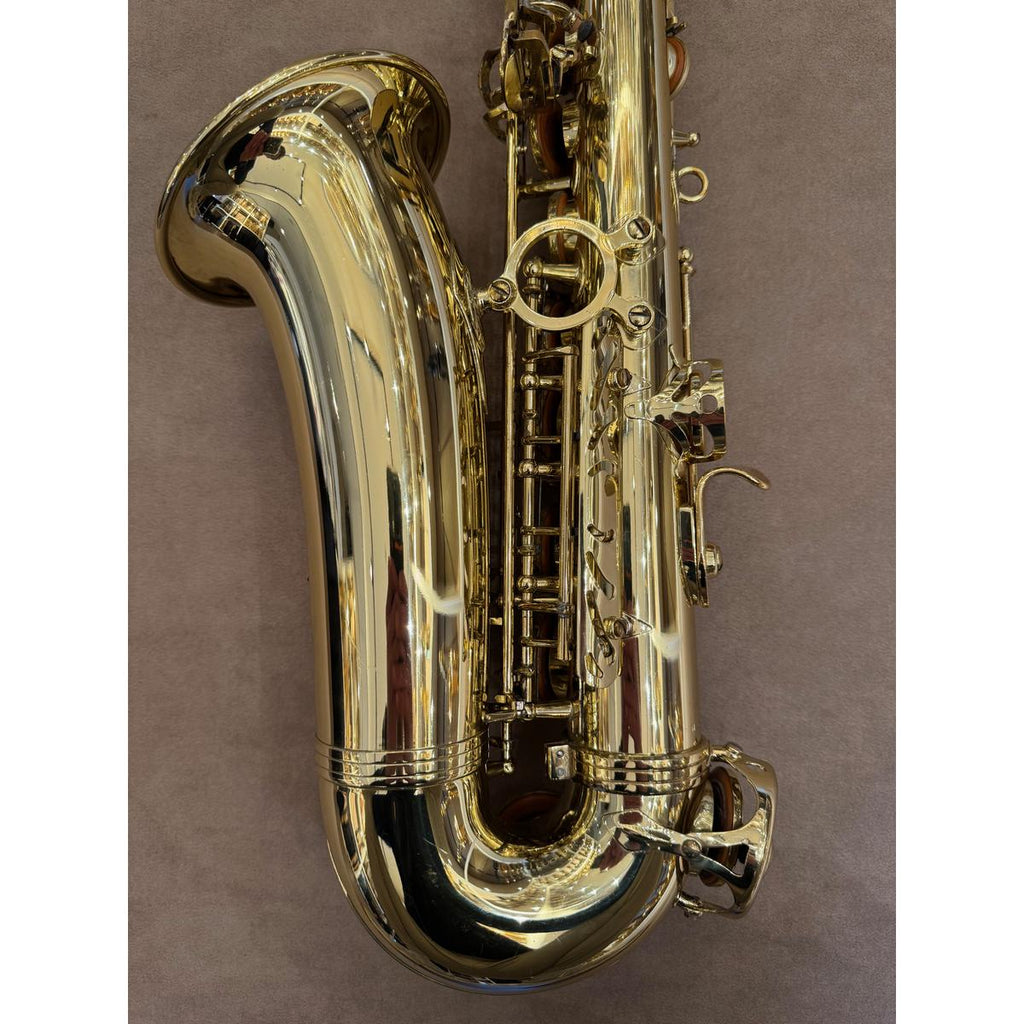 Selmer Paris Series III altsaxofoon 639208